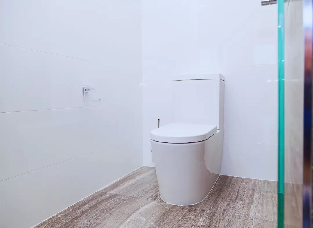 Remplacement de wc Rosheim