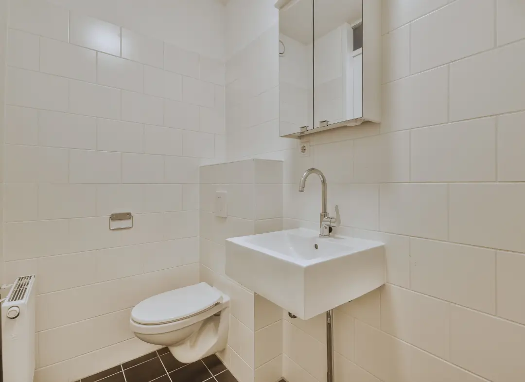 Pose WC Suspendu Rosheim